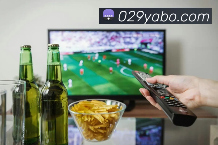 yb亚博服务体系